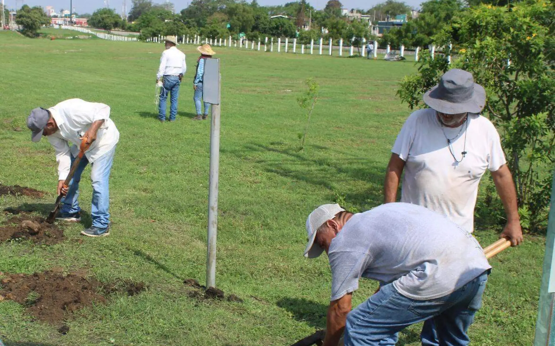 ¿Quieres adoptar una planta? Estas son las especies que hay en el Vivero de Altamira